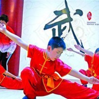 一節(jié)武術課